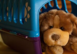 dog, animal, niche, cage, stuffed toy, pet, dog basket, veterinary